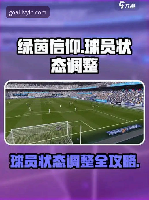 5个关键维度对比绿茵体育最新地址与版本更新策略
